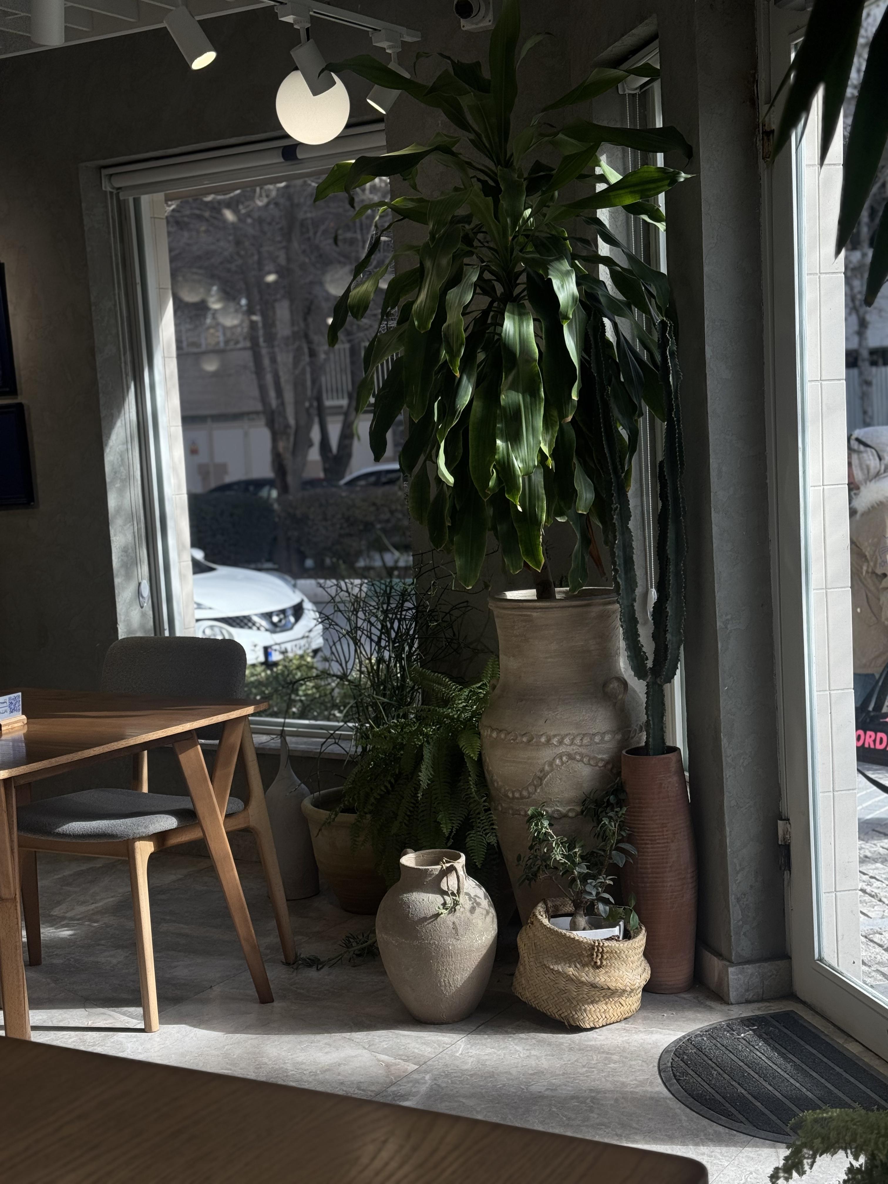 Bayaz Kitchen and Cafe — 5